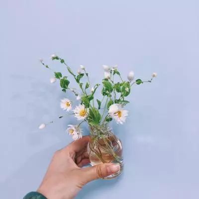 卢卡申科对朝鲜进行首次正式访问